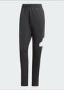 Adidas IN3322 Pantalones de Hombre M FI BOS PT - 6