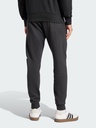 Adidas IN6163 Pantalones de Hombre M BL FT PT - 2