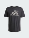 Adidas JI6788 Camiseta de Hombre M T CE LOGO T - 7